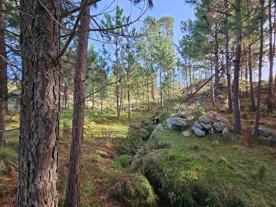 Lotes Serranos En Villa Yacanto Desde 7883m2. Excelente Zona. Financiación