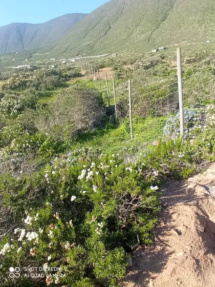 Venta Parcela 5000mts La Serena