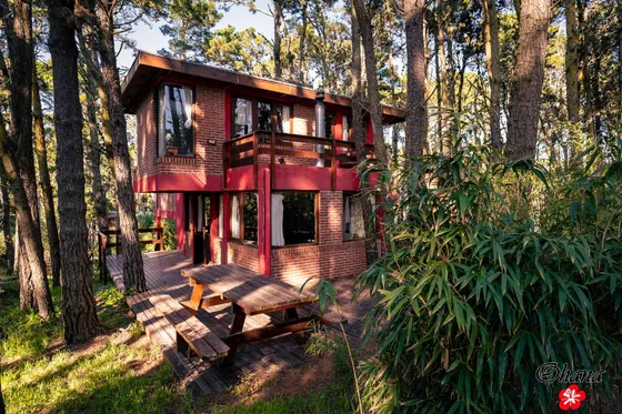 Cabaña Ohana En El Bosque De Mar Azul , Diseño Con Vistas Panorámicas