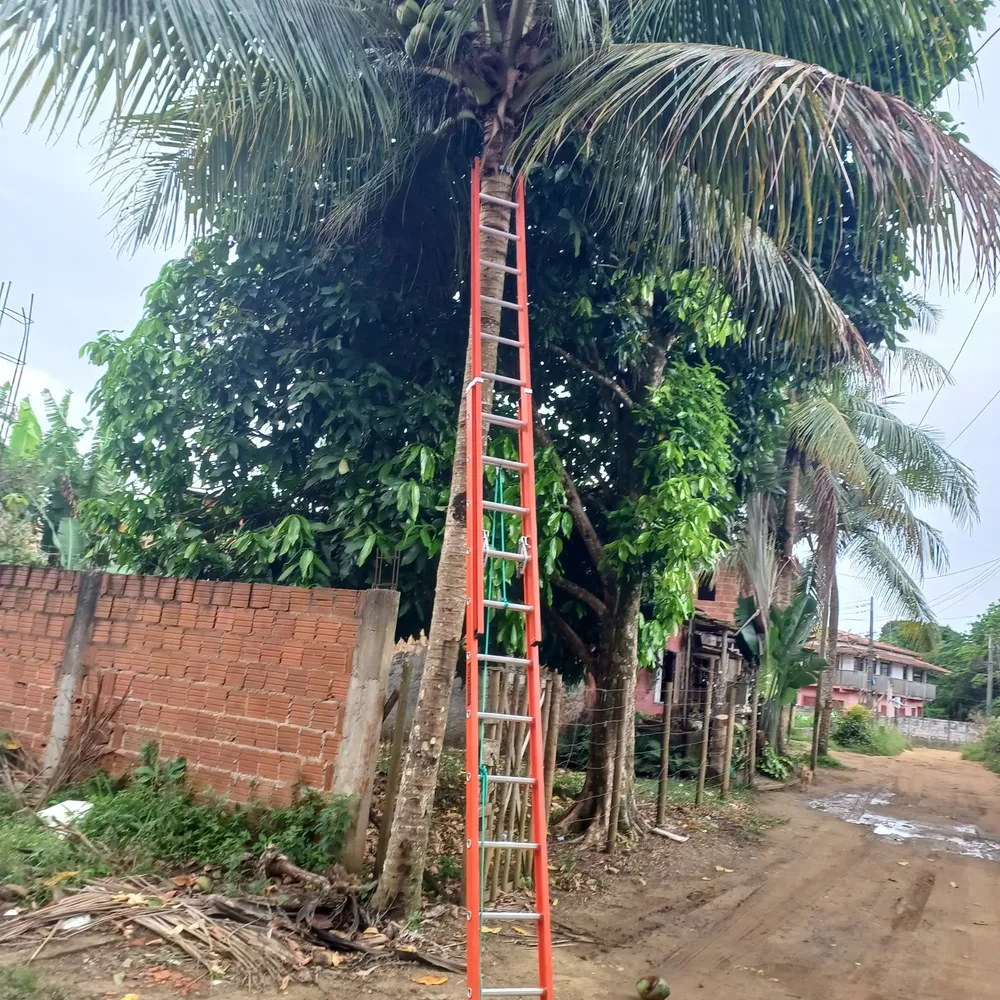 Foto da avaliação 2