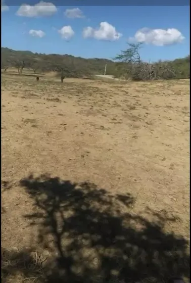 Te Vendo Excelente Finca En Monte Cristi Rd.