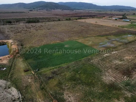 Carlos Colmenarez Vende Espectacular Finca De 20hec 2casas 4galpones Caballeriza 2pozos Profundos Sitema De Riego Luz Trifasica 3lagunas Laboratorio Maquinarias Y Todo Lo Que Necesita Para La Producci