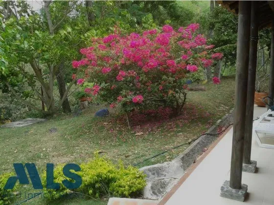 Finca Para Venta En Santa Fe De Antioquia, Sector ...(mls#248485)