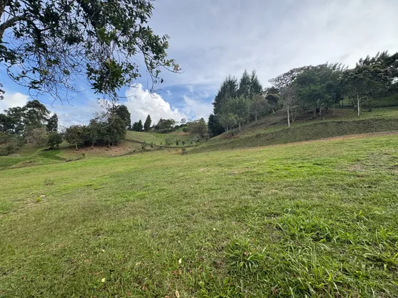Se Vende! Hermoso Lote Con Vista En Rionegro! Excelente Ubicación Y Precio!