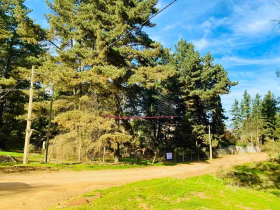 Vass Vende Parcela Desde 1600 M2 En Los Pinos Reñaca. Viña