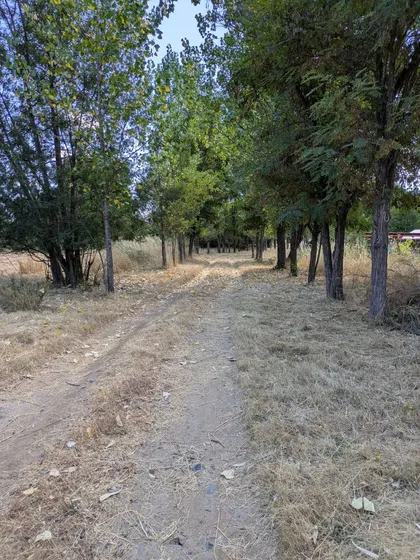 Parcela En Venta Nacimiento