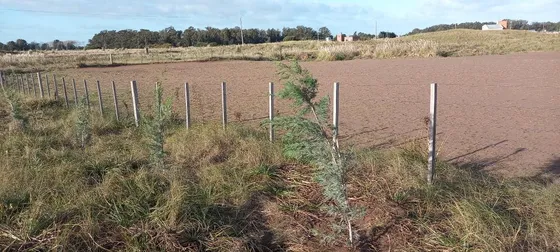 Terreno En Venta - 2.850mts2 - Reta