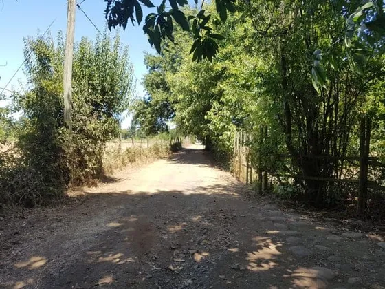 Sitio Agrícola Pinto 