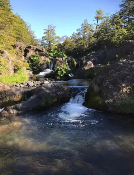 Parcela Con Río, 3 Cabañas, 1 Min Parque Nacional Conguillío