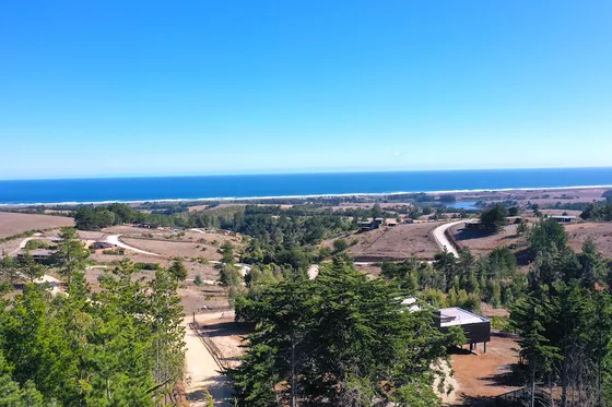 Mar Y Bosque Sobre Punta De Lobos