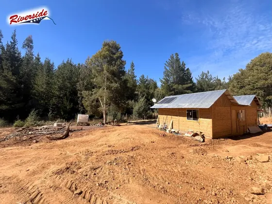 Parcela + Cabaña + Bosque, Entre Campo Y Mar, Cerca Bucalemu
