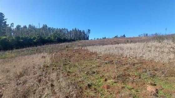 Terreno Construccion En Venta En Nacimiento