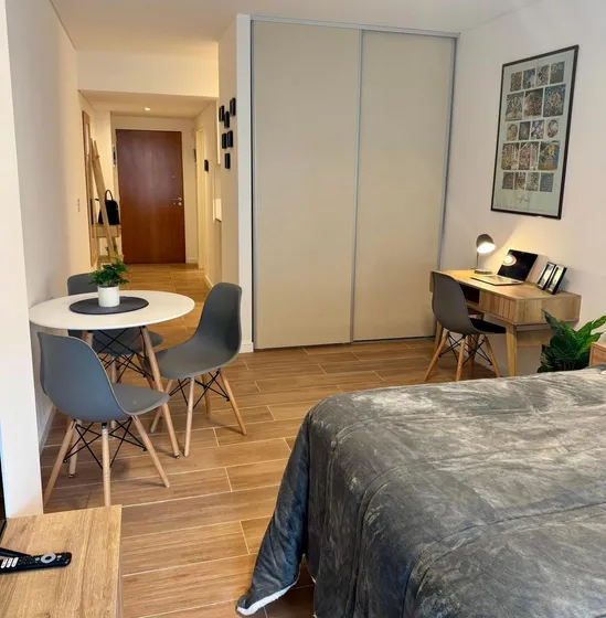 Increíble Departamento C/balcon, En Recoleta, Alquila Dueño Directo!  Con O Sin Muebles  Luminoso. Apto Profesional. 