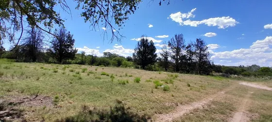 Venta Campo Mixto Saladillo San Luis