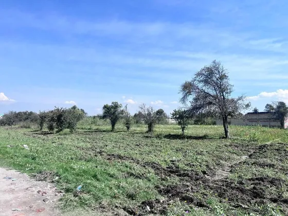 Terreno En Renta En Huejotzingo