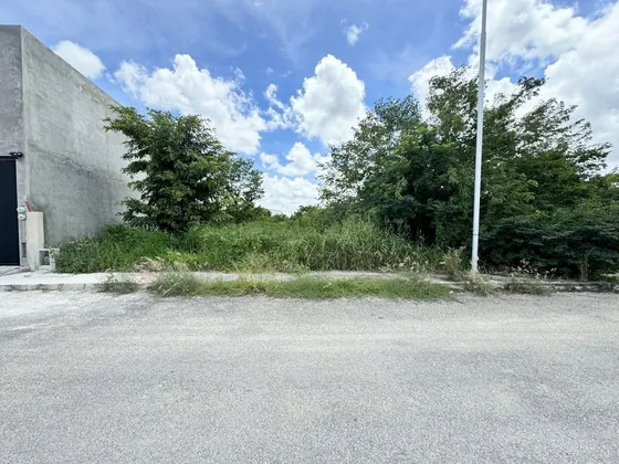 Terreno En Venta Mérida Yucatán, Real Montejo