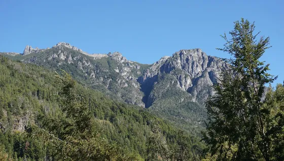 Chacra De 5has En Venta - Sobre Ruta 40 - El Hoyo - Chubut