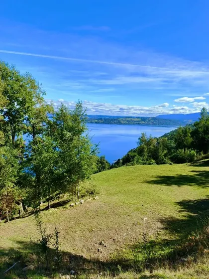1/2 H De Privilegios En Lago Ranco, Marina Ranco Tu Espacio