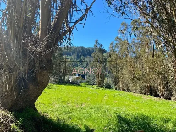 Sitio En Venta En Casablanca