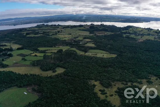 Sitio En Venta Sup 5000 Mts 2 En Llanquihue, Hortensias De M