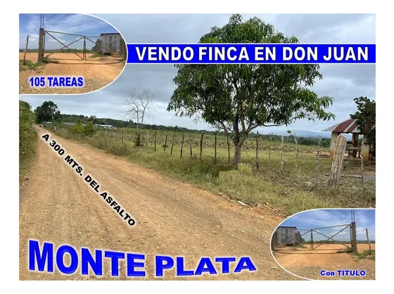 Vendo Super Finca De 105 Tareas A 300 Mts. De La  Carretera En Don Juan, Monte Plata