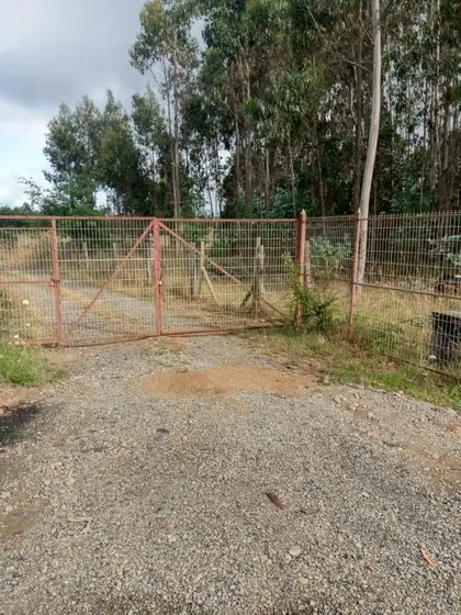 ¡terreno Agrícola En Pitruque?n Por $130m!