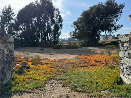 Terreno De 1600m2 En Maitencillo