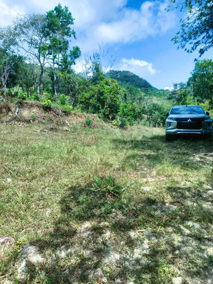 Finca55 Ha. A Una Hora De Calobre, Con Ojos De Agua Y Quebradas
