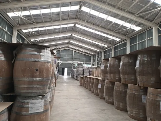 Bodega 828 M2, San Bernardo