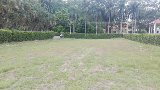 Vendo Hermoso Lote Carmen De Apicala En El Imperio 