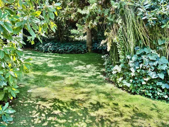 Lindo Parque El Arrayan