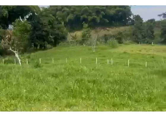 Lote Para La Venta En Filandia De 1600 Mts2