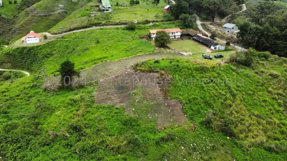 Terreno En Venta Ubicada Ensector Potrero Perdido La Colonia Tovar,  Fvina 24-29241