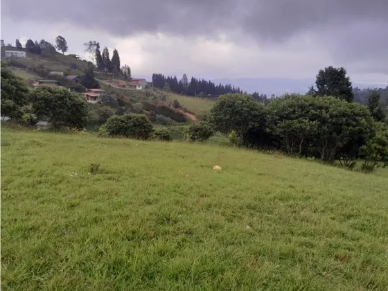 Venta De Lote En Guarne, Vereda San Isidro