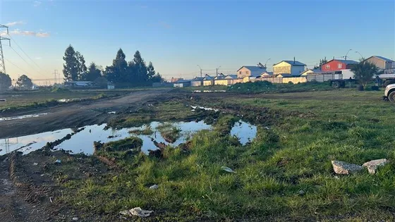 Sitio En Venta En Frutillar