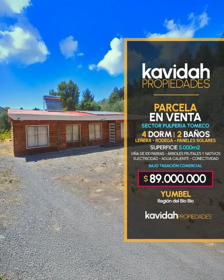 4d/2b Amplica Parcela Con Casa En Tomeco, Sector Pulpería