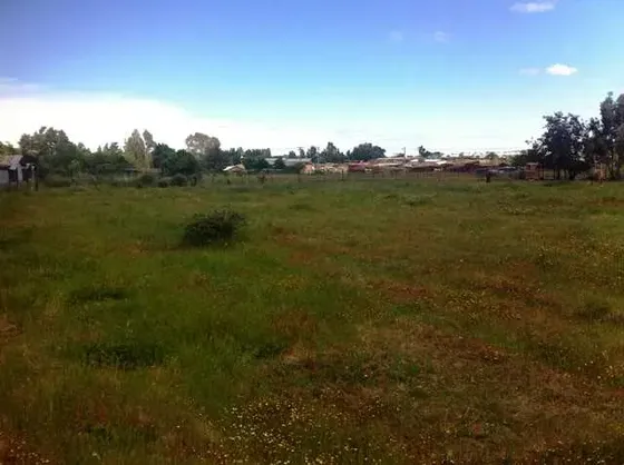 Cauquenes Terreno Inmobiliario 4 Has (116360)