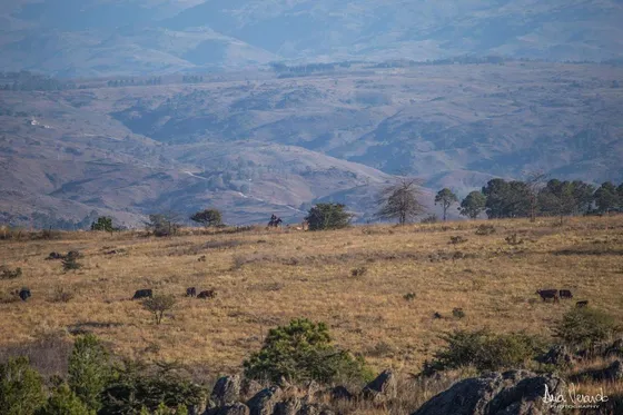 Chacra En  Atos Pampa, 6.5 Ha, Con Chalet De Tres Dorm, Tanque Australiano De 50.000 Lts