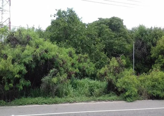 Terreno En Falcón, Tucacas. Ubicado En La Avenida Principal.