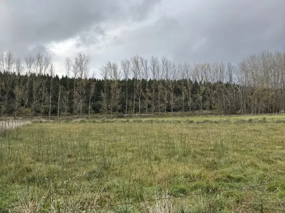 Macrolotes De 1,5 Ha Con Laguna Navegable