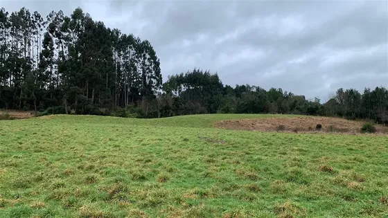 Parcela En Venta En Puerto Varas