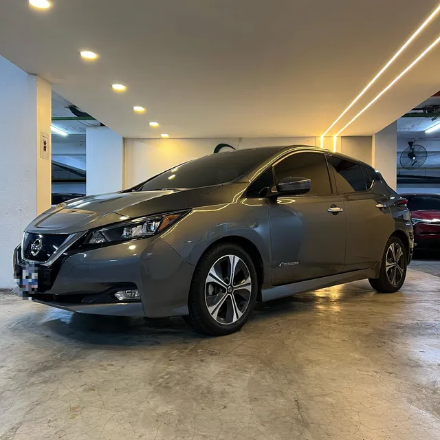 Nissan Leaf Leaf