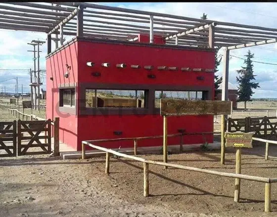 Venta Lote - El Carrizal Abajo- Lujan De Cuyo - Mendoza