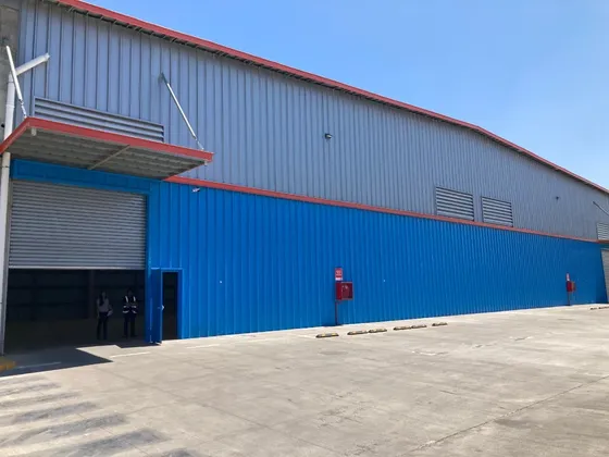 Bodega 300 M2 Camino A Noviciado