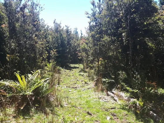 Parcela 14, Altos De Lauca, Puerto Montt