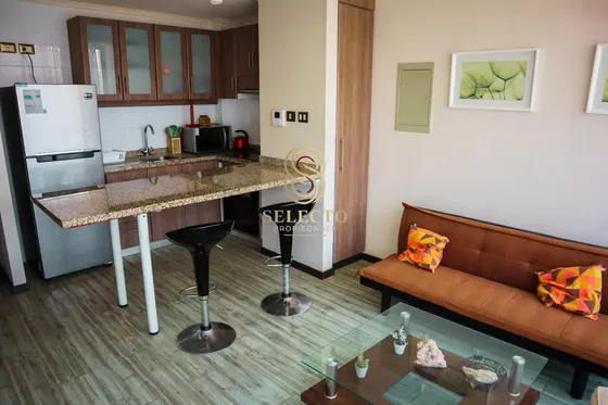 Arriendo Departamento Amoblado 1 Dormitorio Jardines Del Sur