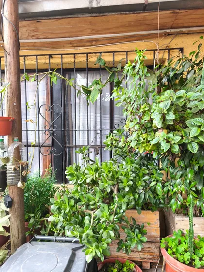Vende Casa Buena Conectividad