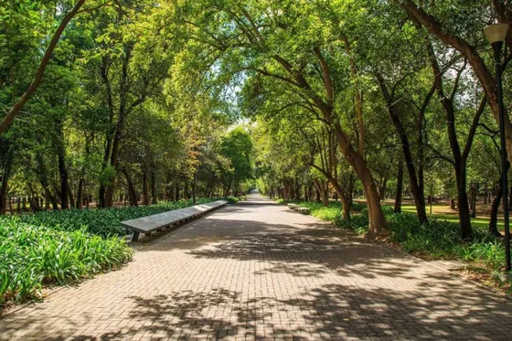 Preventa Departamento En El Corazón De Chapultepec