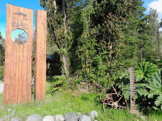 Vendo Parcela En Camino A Ensenada, Puerto Varas