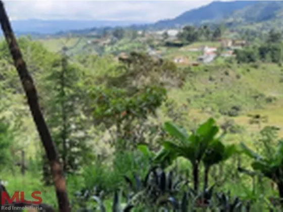 Lote Hermoso Para Subdividir Con Casa Primaria(mls#240911)